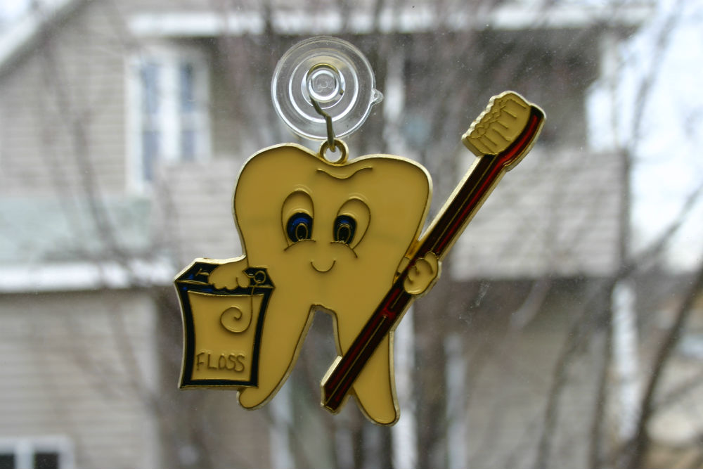 Family Dentistry Patient Information Cannon Falls MN